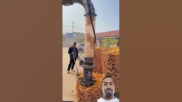 Corn Harvesting & Processing Vehicle! From Cob to Kernel in One Step #ricemachinery #agritechindia