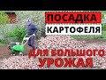 Посадка КАРТОФЕЛЯ под мотоблок с органическими удобрениями. Как бороться с проволочником