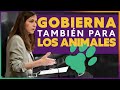 El año histórico en protección animal para desgracia de la derecha | Ione Belarra