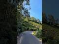 The Surreal Beauty of Ooty, India #shorts #ooty #roadtrip