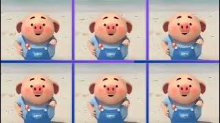 Bang Beca Pig Animation