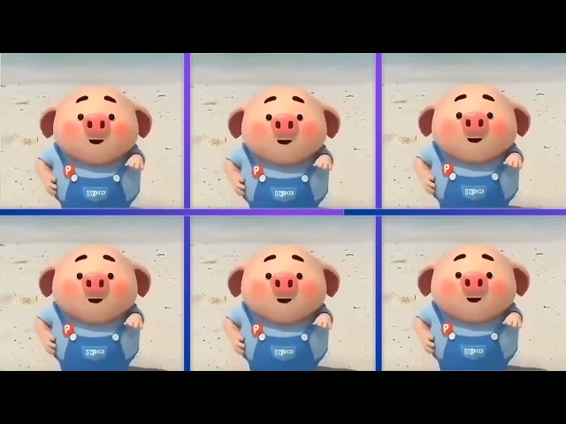 Bang Beca Pig Animation class=
