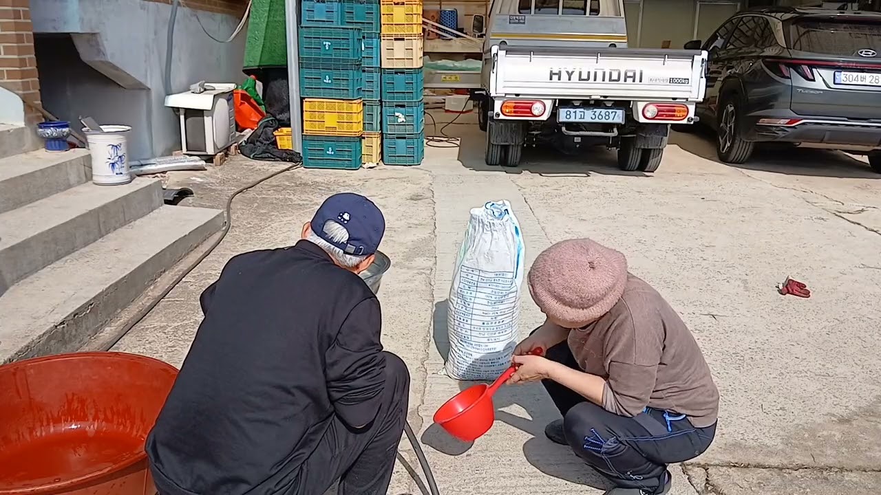 메주 한 말로 간장 담그기 │ 물 60L·소금 12kg  비율 그대로 기록