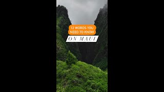 12 Words you need to know when visiting Maui Hawaii