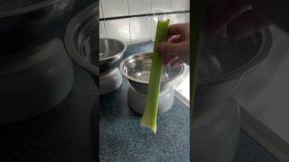 Jurassic Celery Physics #jurassicworld #celery #physics