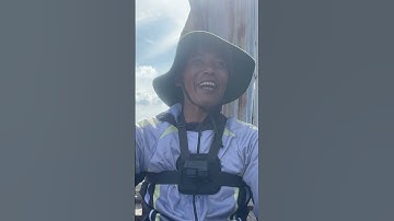 Săn heo nước trên sông tiền, câu cá vồ đém #fishing #cauca #caucatrasong #sanbatmaidam