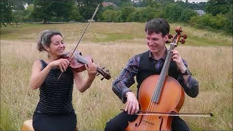 The Galeazzi Ensemble - Haydn Bird Quartet