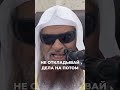 Не откладывай дела на потом | Шейх Салих ас-Сухейми