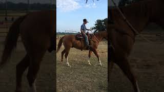 IMG 6316