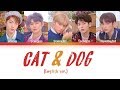 TXT - Cat & Dog (English ver.) (투모로우바이투게더 - Cat & Dog (English ver.)) [Color Coded Lyrics/Eng/가사]
