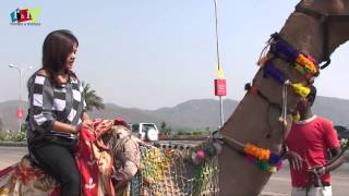 Camel Riding In Jaipur/How To Ride A Camel - Jaipur, India By Rooms And Menus Camel Riding In Jaipur/How To Ride A Camel - Jaipur, India By Rooms And Menus