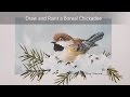 How to draw and paint a Chickadee. Dry brush watercolour and Ink techniques. Peter Sheeler