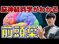 【臨床現場で役立つ脳神経科学】前頭葉の機能＆機能不全に関する知識をシンプルにまとめて解説します！