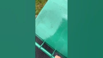 Thumbnail of Trash can theme song.