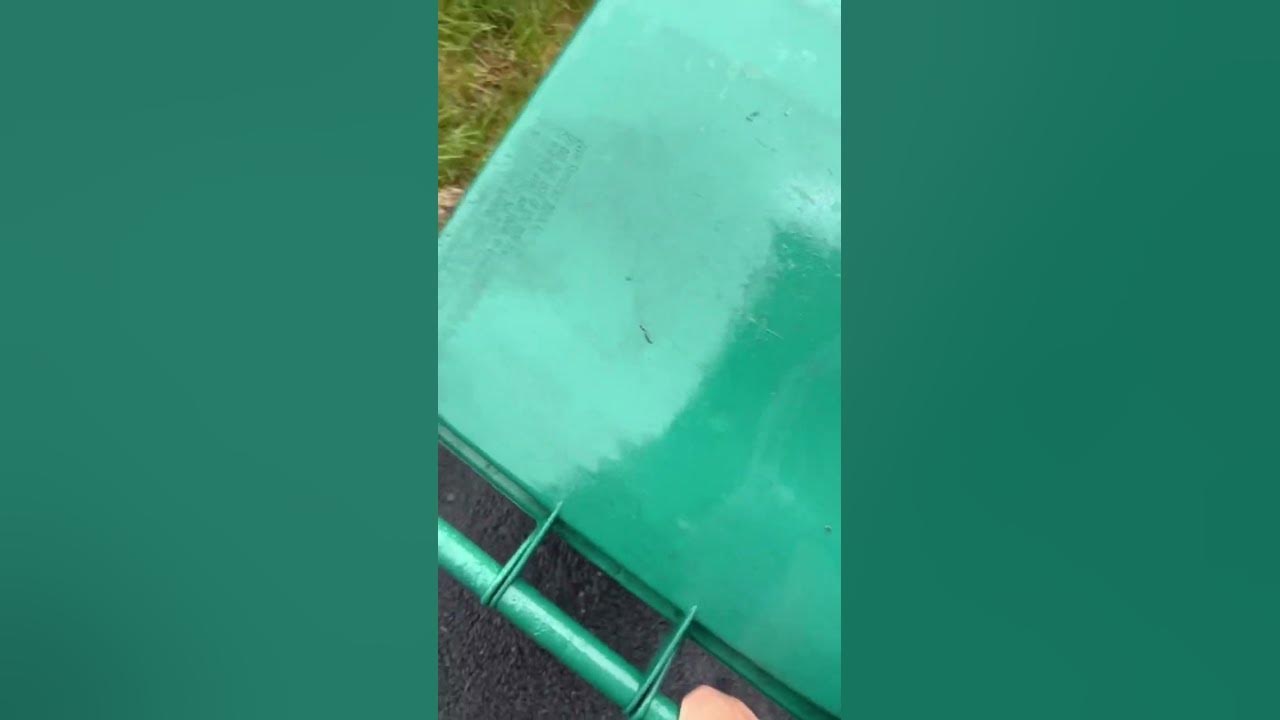 Trash can theme song.