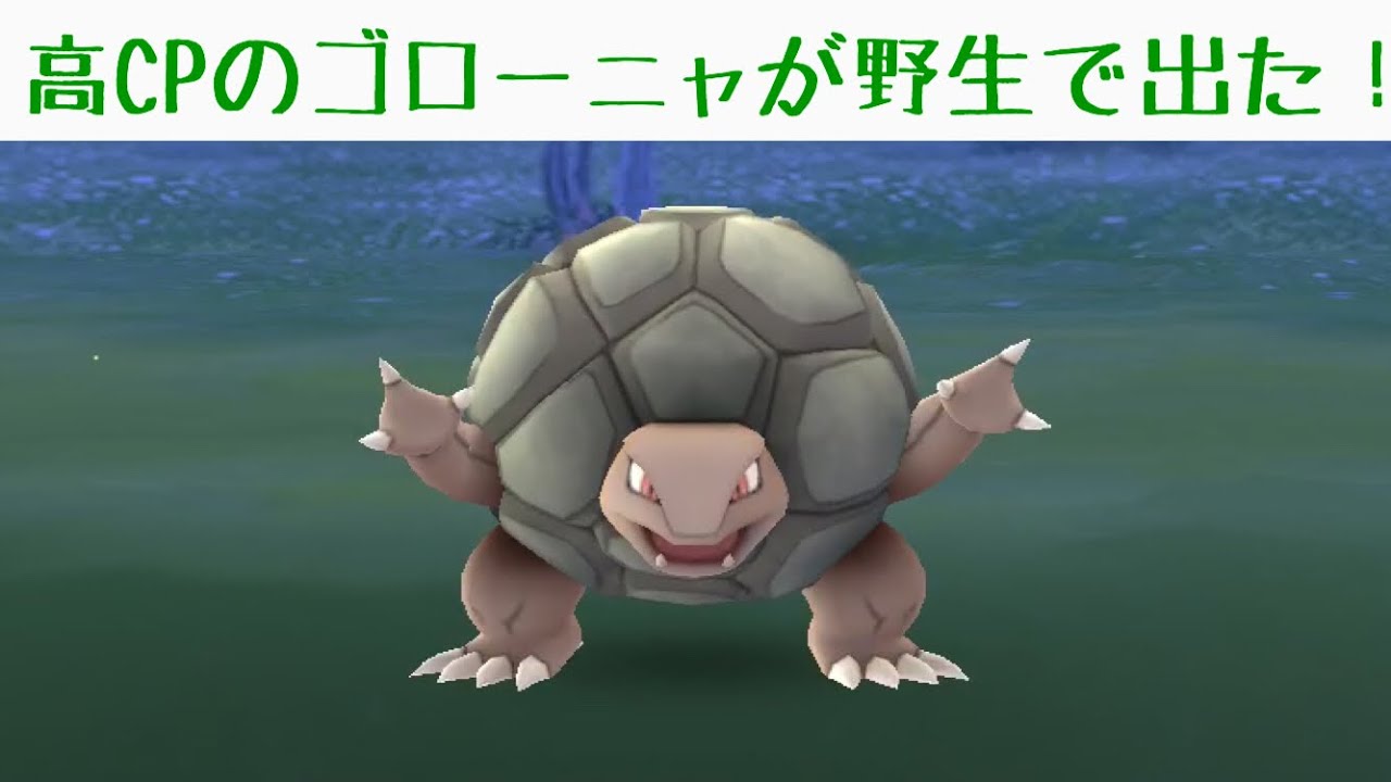 ポケモンgo 高cpのゴローニャが野生で出た Youtube ポケモンgo 高cpのゴローニャが野生で出た Youtube