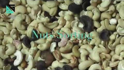 SG Cashew nut Color sorter/Sorting Machine