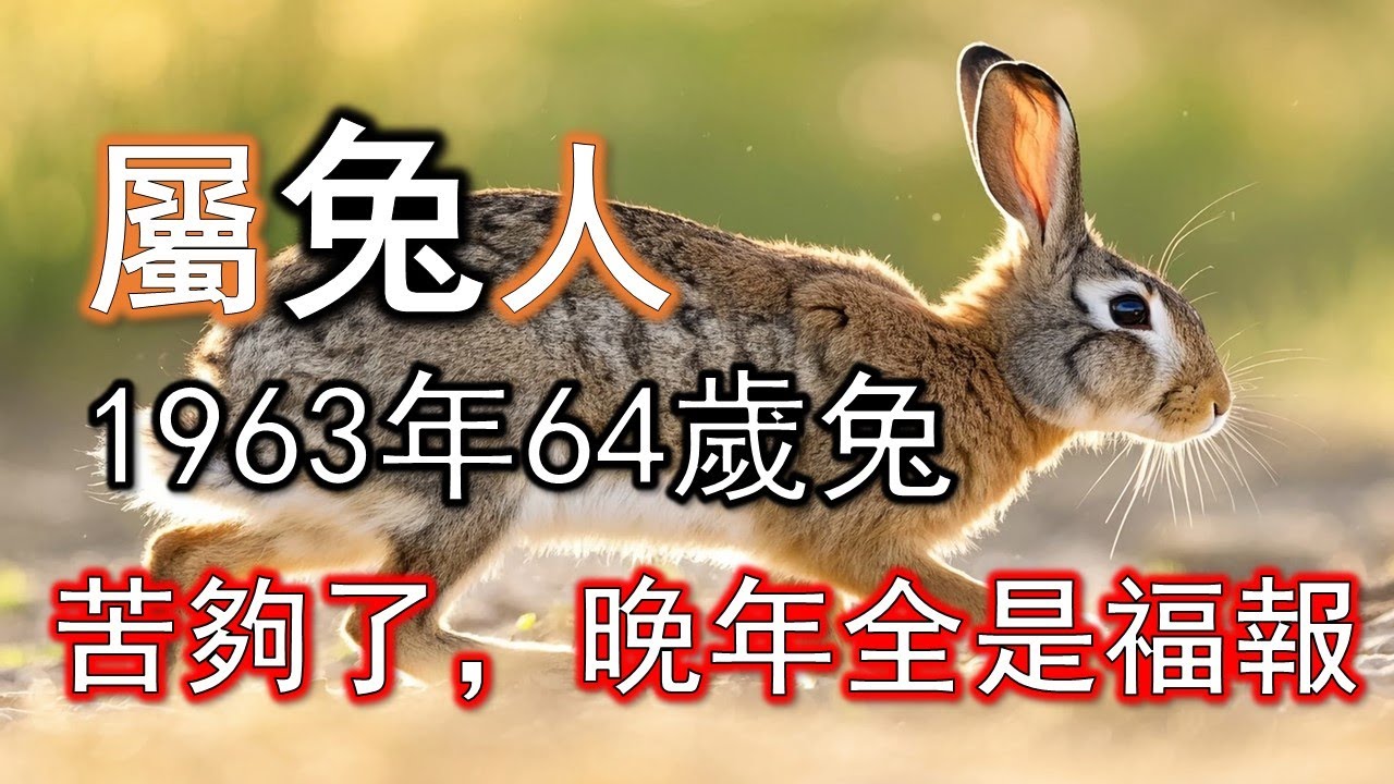 1963年屬兔人，日子真的爽起來，苦夠了，接下來才是人生。#生肖兔#屬兔人#1963 兔
