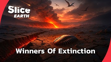 How Life Survived the Five Mass Extinctions | SLICE EARTH | FULL DOC