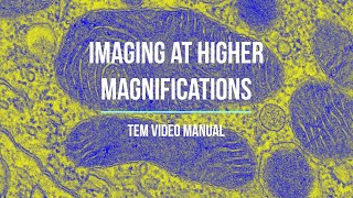 Chapter 7 - TEM Video Manual -  Imaging at higher magnifications