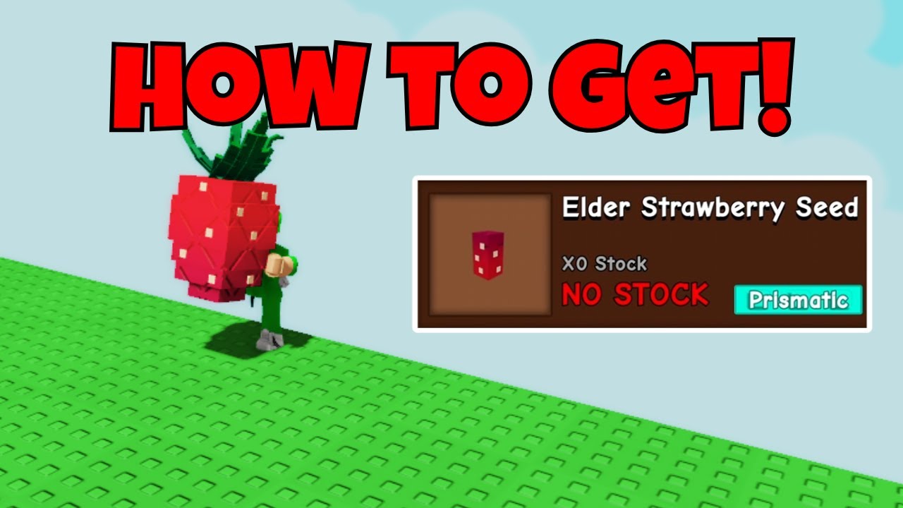 HOW TO GET ELDER STRAWBERRY SHOWCASE in GROW A GARDEN! | Roblox