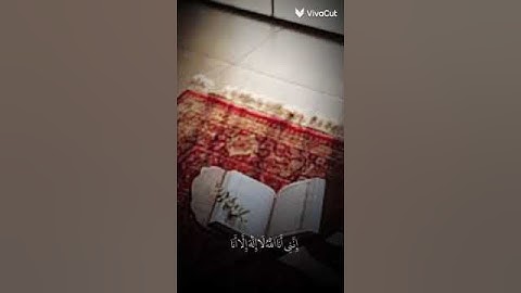 تلاوه عطرة وصوت رائع جدا القرآن الكريم