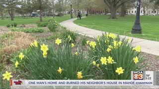Champaign Park District wins national award for excellence