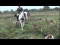 (Foxhunting in Ireland) Grallagh Harriers September 2014 の動画、YouTube動画。