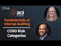 COSO Risk Categories | Fundamentals of Internal Auditing | Part 7 of 44