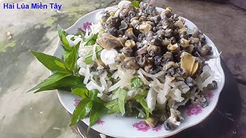 Gỏi Ốc Đắng Chuối Cây | Ốc Đắng Trộn Gỏi Cây Chuối - Món Ăn Nhậu Dân DÃ Miền Tây