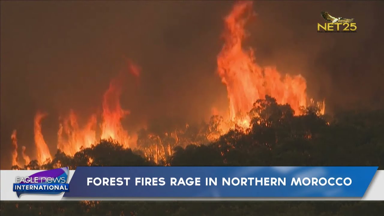 Forest fires rage in Northern Morocco