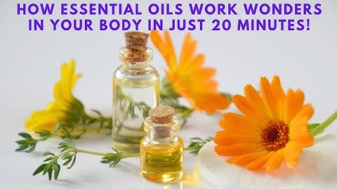 know how essential oils work wonders in your body in just 20 minutes!