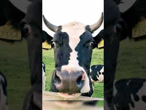 ЗАБАВНЫЕ СОВПАДЕНИЯ КОТОРЫЕ ПОДНИМУТ ВАМ НАСТРОЕНИЕ