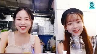 2019.08.11 에이프릴 V앱 [APRIL] 빵빵즈♡