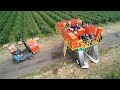 Oxbo 7450 Top Load Berry Harvester