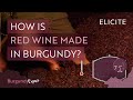 Red Winemaking In Burgundy Explained