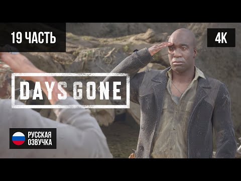 Видео: #19 ПРОХОЖДЕНИЕ DAYS GONE/ЖИЗНЬ ПОСЛЕ (2019, PS5/4K) БЕЗ КОММЕНТАРИЕВ