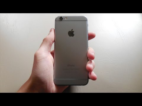 iPhone 6 Review!