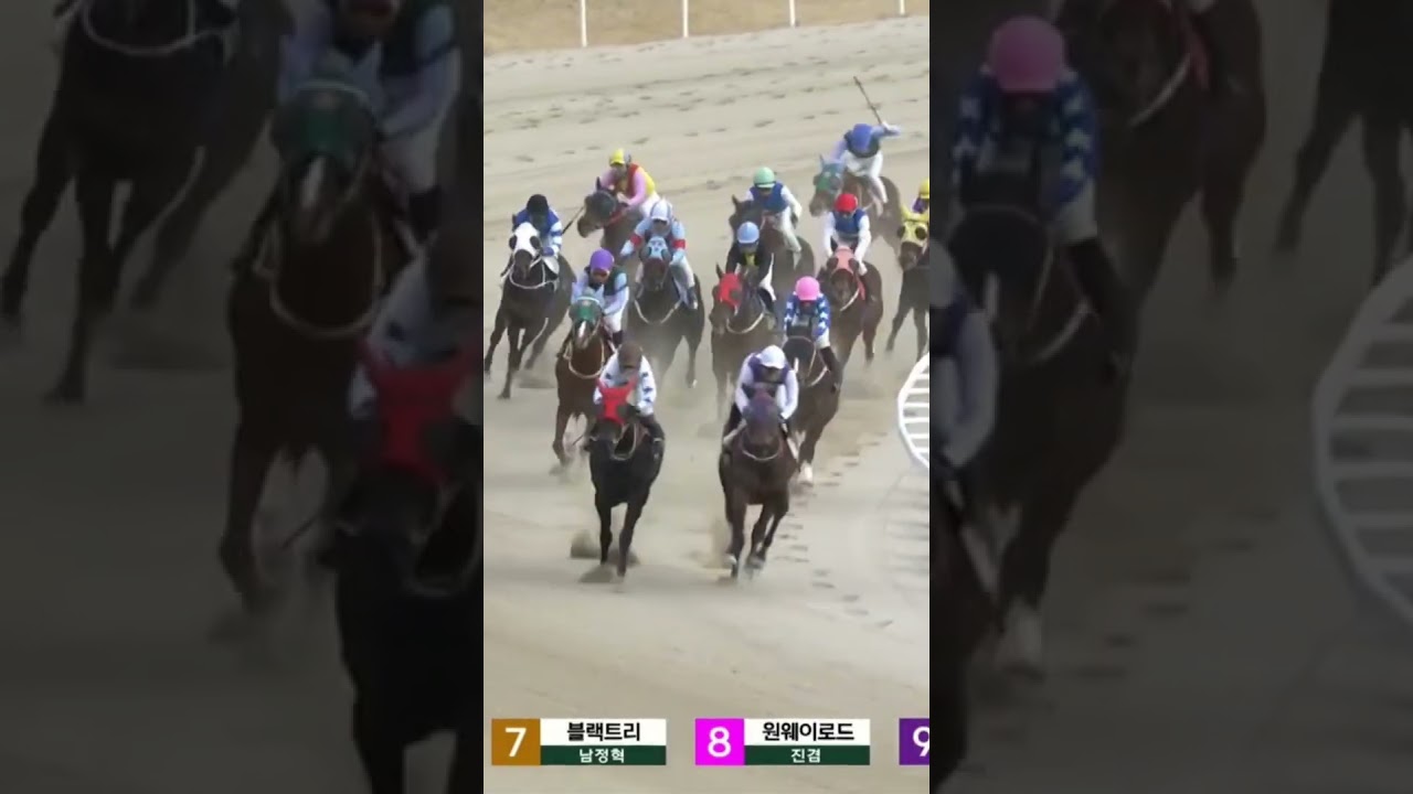 26배  4-8 공개된번호01055876275