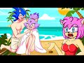 Amy Was Surprised When Sonic Cloaked Blaze On The Beach - Sonic 2D Animation