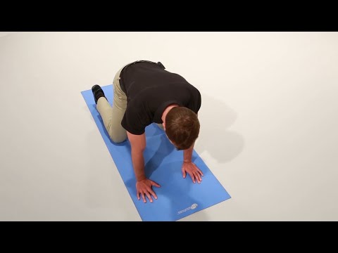 quadruped-weight-shifts-–-post-stroke-exercise