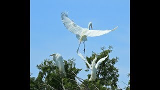 Presqu&#39;ile Provincial Park Ontario 2019. Tour in kayak and on bike