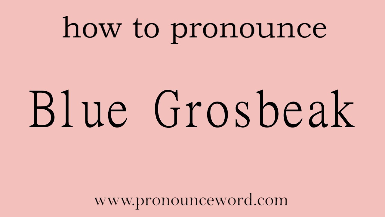 Blue Grosbeak. How to pronounce the english word Blue Grosbeak .Start