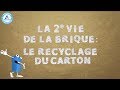 Tetra pak cartoons  la 2me vie de la brique  recyclage du carton