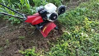 Honda tiller FG 320 freza test