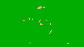 Falling Leaves Effect | Free Green Screen Footage