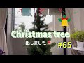 【早くもクリスマスツリー