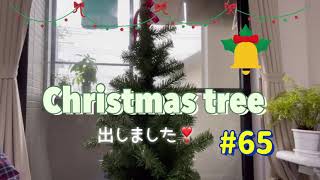 【早くもクリスマスツリー