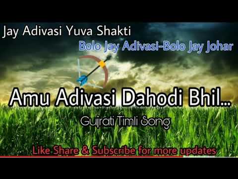 Amu Adivasi Dahodi Bhil bolo jay johar  jay aadiwasi Jays Adivasi Timli Song 2017