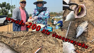 เคาะปลั๊กกระพงบุฟเฟ่ 200 โล บ่อกบนาพาเพลิน กับคน 40 ต้องมี